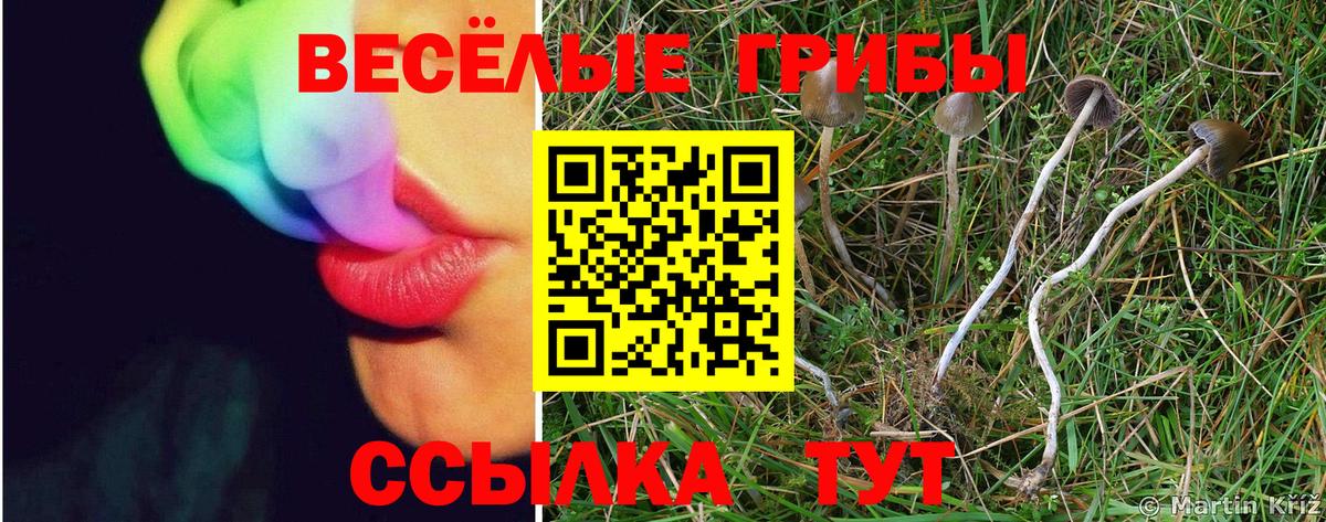Елец  Псилоцибиновые грибы GOLDEN TEACHER  Вход с VPN 