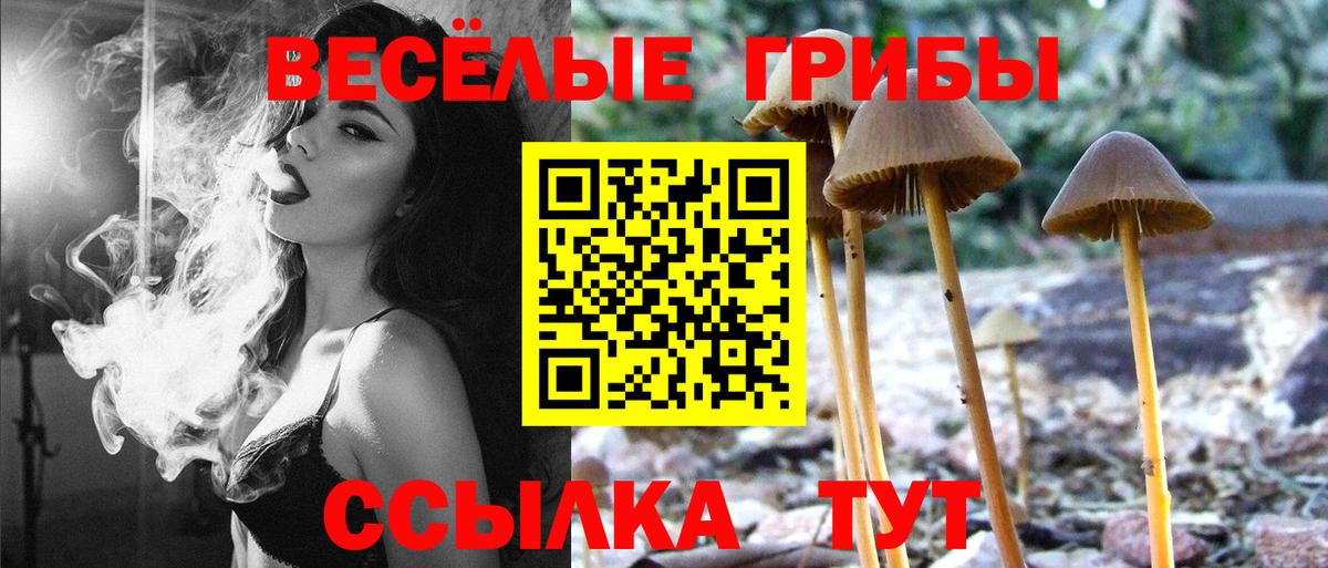 Галлюциногенные грибы Magic Shrooms Елец
